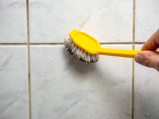 Best Certified Mold Removal  in Level Green, PA