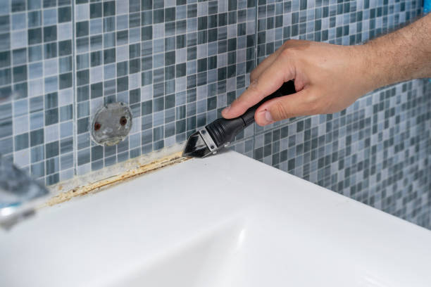 Best Mold Testing  in Level Green, PA